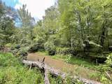 393 Harmony Gates Drive - Photo 10