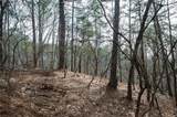 00 Red Top Mountain Road - Photo 13