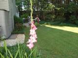 3555 Monticello - Photo 5
