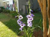 3555 Monticello - Photo 8