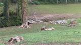 5165 Thompson Mill Road - Photo 10