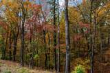 Lt 269 Canoe Way - Photo 21