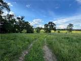 2113 Union Grove Church Road - Photo 3