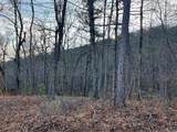 205 Sharp Top Mountain Trail - Photo 1