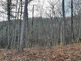 205 Sharp Top Mountain Trail - Photo 2