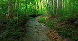 0 Nocona Trail - Photo 4