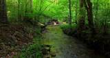 0 Nocona Trail - Photo 5