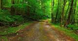 0 Nocona Trail - Photo 6