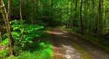 0 Nocona Trail - Photo 7