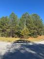 4020 Gold Springs Pass - Photo 3