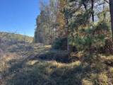 4020 Gold Springs Pass - Photo 5