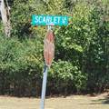 0 Scarlett Lane - Photo 9