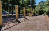 803 Woodland Trace - Photo 5
