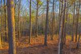 LOT 2 Blalock Mountain Road - Photo 10