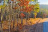 LOT 2 Blalock Mountain Road - Photo 14
