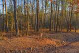 LOT 2 Blalock Mountain Road - Photo 7