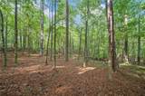 0 Brock Trail - Photo 11