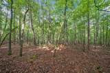 0 Brock Trail - Photo 8