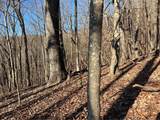 245 Sassafras Mountain Trail - Photo 5