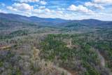 2834 Twisted Oak Road - Photo 1