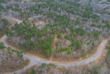 2834 Twisted Oak Road - Photo 3