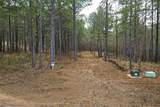 2834 Twisted Oak Road - Photo 4