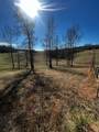 1647 Garland Mountain Trail - Photo 6