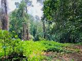 Lot 6 Riverside Circle - Photo 1