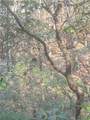 00 Crooked Creek - Photo 14