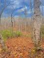 00 Crooked Creek - Photo 4