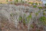 TBD Cowart Mountain Tract 2 Road - Photo 14