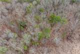 TBD Cowart Mountain Tract 2 Road - Photo 15