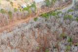 TBD Cowart Mountain Tract 2 Road - Photo 17