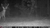 1530 Old Middleton Road - Photo 8
