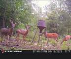 1530 Old Middleton Road - Photo 9
