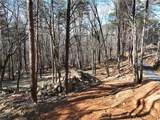 1776 Mulberry Circle - Photo 10