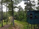 1600 White Road - Photo 8
