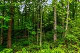 LOT 44 Harris Creek Drive - Photo 3