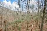 80 Mountain Mint Drive - Photo 47