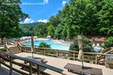 80 Mountain Mint Drive - Photo 68