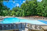 80 Mountain Mint Drive - Photo 75