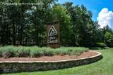 80 Mountain Mint Drive - Photo 82