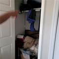 7986 Scarlett Drive - Photo 19