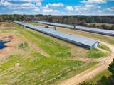 441 Weaver Road - Photo 87