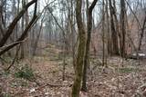0 Willow Springs Road - Photo 3