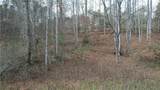 0000 Blackburn Tract 3A Road - Photo 19