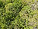 000 Burnt Mountain Cove Road - Photo 10