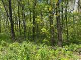 000 Burnt Mountain Cove Road - Photo 5
