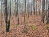 0 Carters Lake Overlook - Photo 3