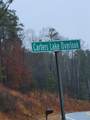 0 Carters Lake Overlook - Photo 4